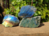 Polished On One Side Labradorite x 24 From Tulear, Madagascar