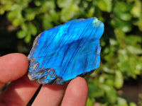 Polished On One Side Labradorite x 24 From Tulear, Madagascar