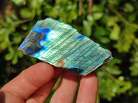 Polished On One Side Labradorite x 24 From Tulear, Madagascar