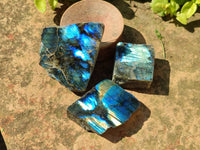 Polished On One Side Labradorite x 24 From Tulear, Madagascar