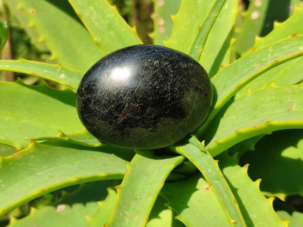 Polished Black Tourmaline Galets x 20 From Madagascar - Toprock Gemstones and Minerals 