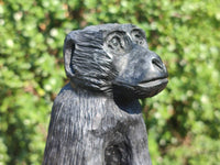 Polished Black Soapstone Baboon Carving x 1 From Zimbabwe