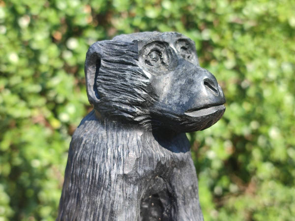 Polished Black Soapstone Baboon Carving x 1 From Zimbabwe