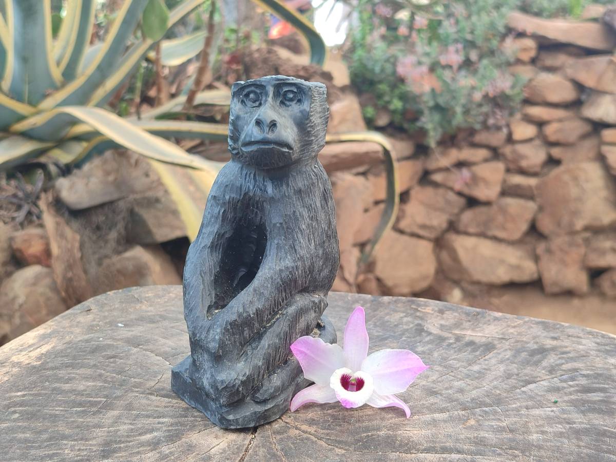 Polished Black Soapstone Baboon Carving x 1 From Zimbabwe - Toprock Gemstones and Minerals 