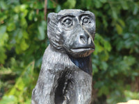 Polished Black Soapstone Baboon Carving x 1 From Zimbabwe