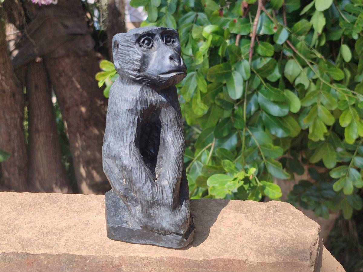Polished Black Soapstone Baboon Carving x 1 From Zimbabwe - Toprock Gemstones and Minerals 