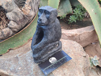 Polished Black Soapstone Baboon Carving x 1 From Zimbabwe