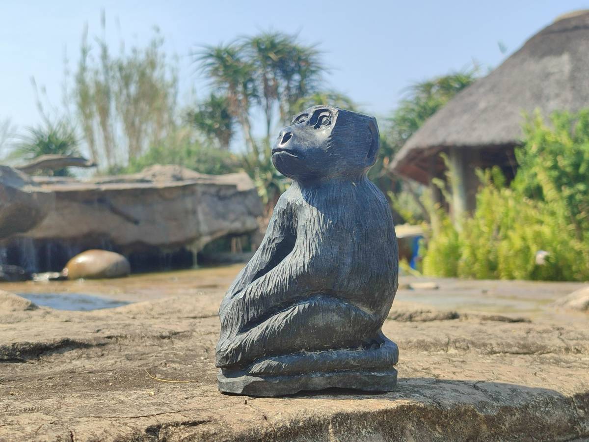 Polished Black Soapstone Baboon Carving x 1 From Zimbabwe - Toprock Gemstones and Minerals 