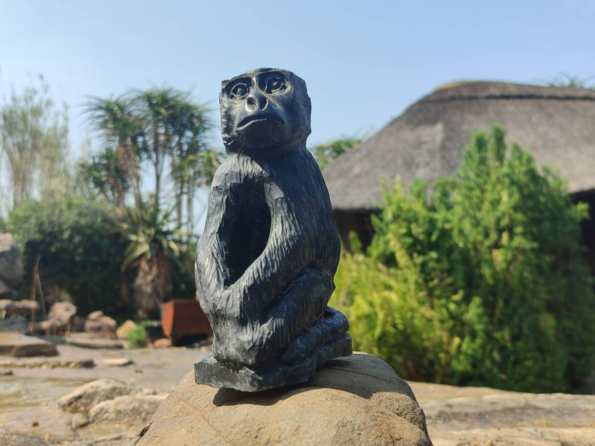 Polished Black Soapstone Baboon Carving x 1 From Zimbabwe - Toprock Gemstones and Minerals 