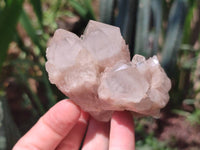 Natural Smokey Phantom Quartz Clusters x 6 From Luena, Congo