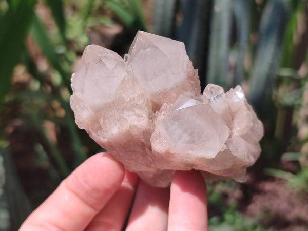 Natural Smokey Phantom Quartz Clusters x 6 From Luena, Congo