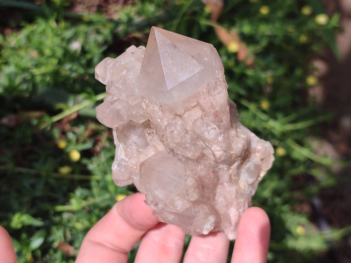 Natural Smokey Phantom Quartz Clusters x 6 From Luena, Congo - Toprock Gemstones and Minerals 