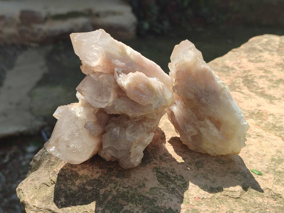 Natural Smokey Phantom Quartz Clusters x 6 From Luena, Congo - Toprock Gemstones and Minerals 