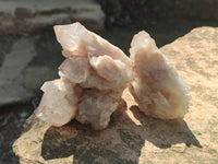Natural Smokey Phantom Quartz Clusters x 6 From Luena, Congo