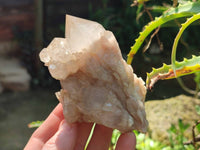 Natural Smokey Phantom Quartz Clusters x 6 From Luena, Congo