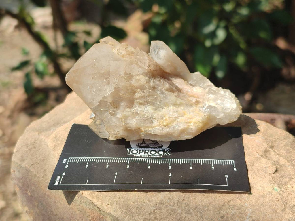 Natural Smokey Phantom Quartz Clusters x 6 From Luena, Congo - Toprock Gemstones and Minerals 