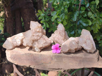 Natural Smokey Phantom Quartz Clusters x 6 From Luena, Congo