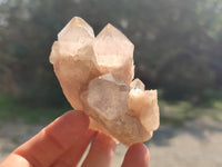 Natural Smokey Phantom Quartz Clusters x 6 From Luena, Congo