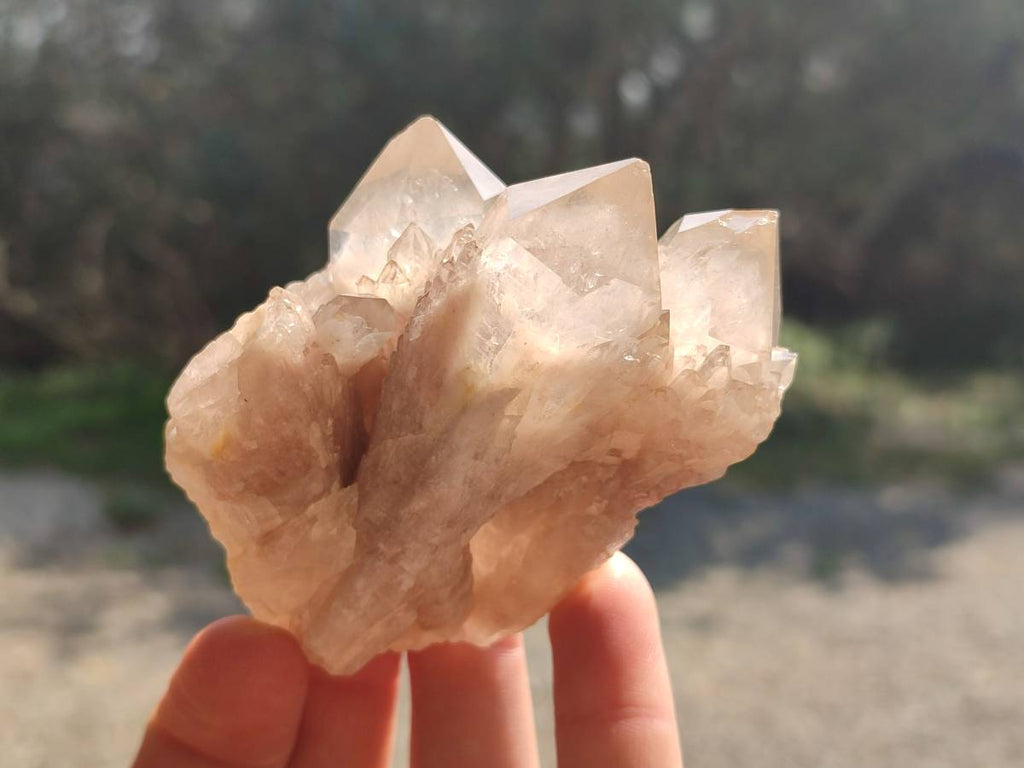 Natural Smokey Phantom Quartz Clusters x 6 From Luena, Congo - Toprock Gemstones and Minerals 