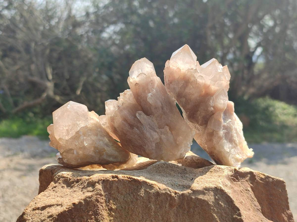 Natural Smokey Phantom Quartz Clusters x 6 From Luena, Congo - Toprock Gemstones and Minerals 