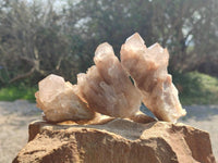 Natural Smokey Phantom Quartz Clusters x 6 From Luena, Congo