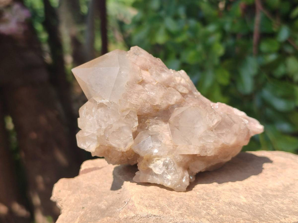 Natural Smokey Phantom Quartz Clusters x 6 From Luena, Congo - Toprock Gemstones and Minerals 