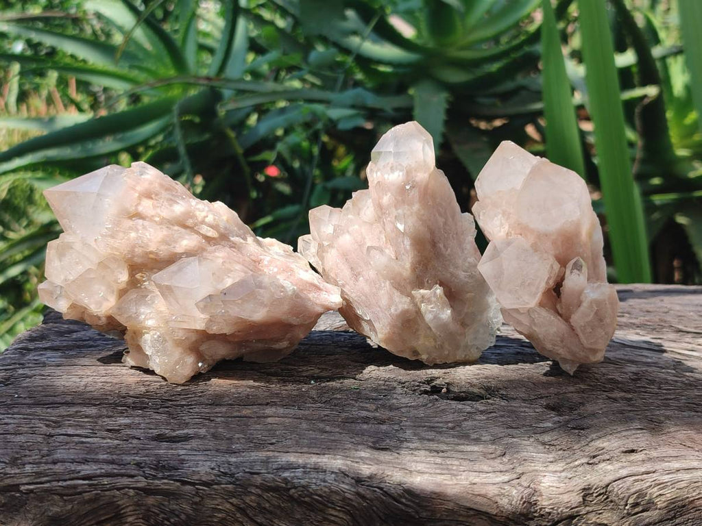 Natural Smokey Phantom Quartz Clusters x 6 From Luena, Congo - Toprock Gemstones and Minerals 