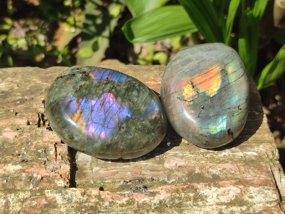 Polished Purple Flash Labradorite Galets x 12 From Tulear, Madagascar - Toprock Gemstones and Minerals 