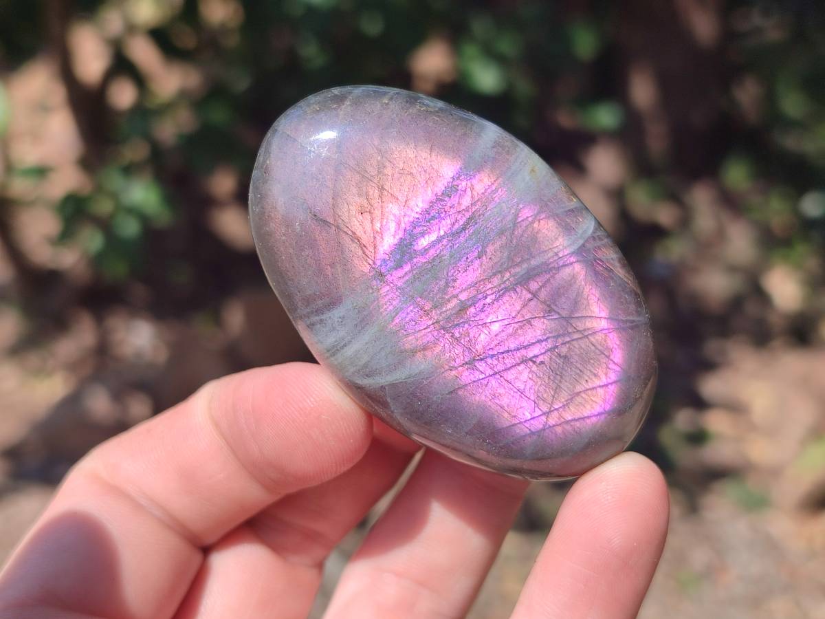Polished Purple Flash Labradorite Galets x 12 From Tulear, Madagascar - Toprock Gemstones and Minerals 