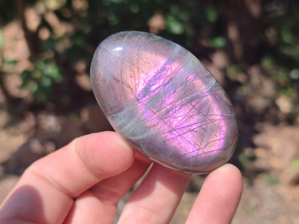 Polished Purple Flash Labradorite Galets x 12 From Tulear, Madagascar