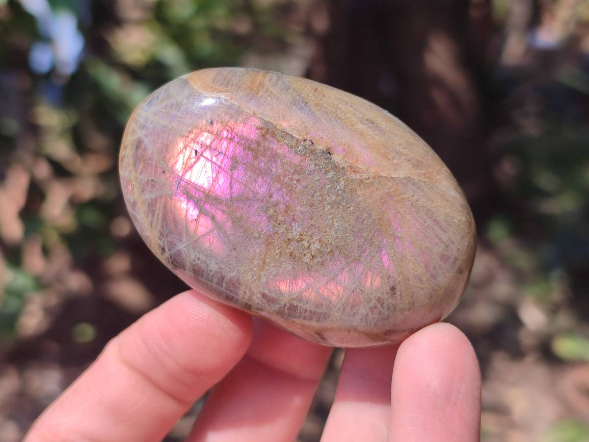 Polished Purple Flash Labradorite Galets x 12 From Tulear, Madagascar - Toprock Gemstones and Minerals 