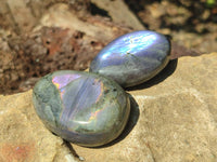 Polished Purple Flash Labradorite Galets x 12 From Tulear, Madagascar
