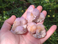 Natural Ametrine Spirit Quartz Clusters x 12 From Boekenhouthoek, South Africa