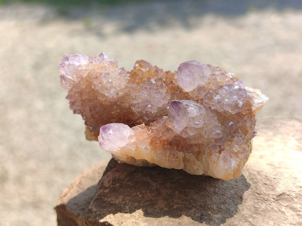 Natural Ametrine Spirit Quartz Clusters x 12 From Boekenhouthoek, South Africa - Toprock Gemstones and Minerals 
