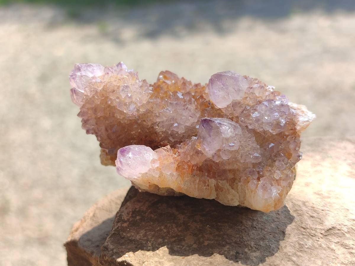 Natural Ametrine Spirit Quartz Clusters x 12 From Boekenhouthoek, South Africa - Toprock Gemstones and Minerals 