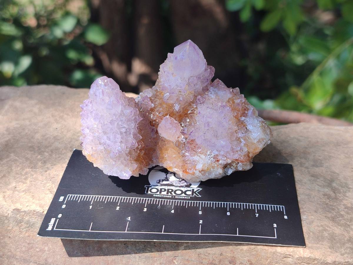 Natural Ametrine Spirit Quartz Clusters x 12 From Boekenhouthoek, South Africa - Toprock Gemstones and Minerals 