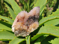 Natural Ametrine Spirit Quartz Clusters x 12 From Boekenhouthoek, South Africa