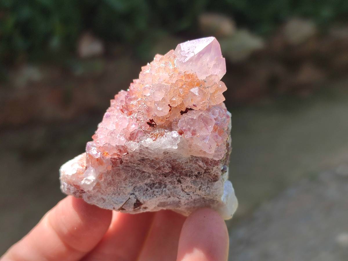 Natural Ametrine Spirit Quartz Clusters x 12 From Boekenhouthoek, South Africa - Toprock Gemstones and Minerals 