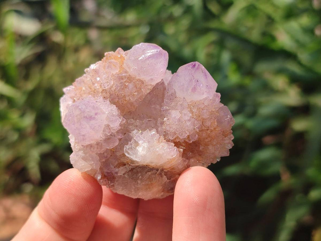 Natural Ametrine Spirit Quartz Clusters x 12 From Boekenhouthoek, South Africa - Toprock Gemstones and Minerals 
