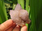 Natural Ametrine Spirit Quartz Clusters x 12 From Boekenhouthoek, South Africa - Toprock Gemstones and Minerals 