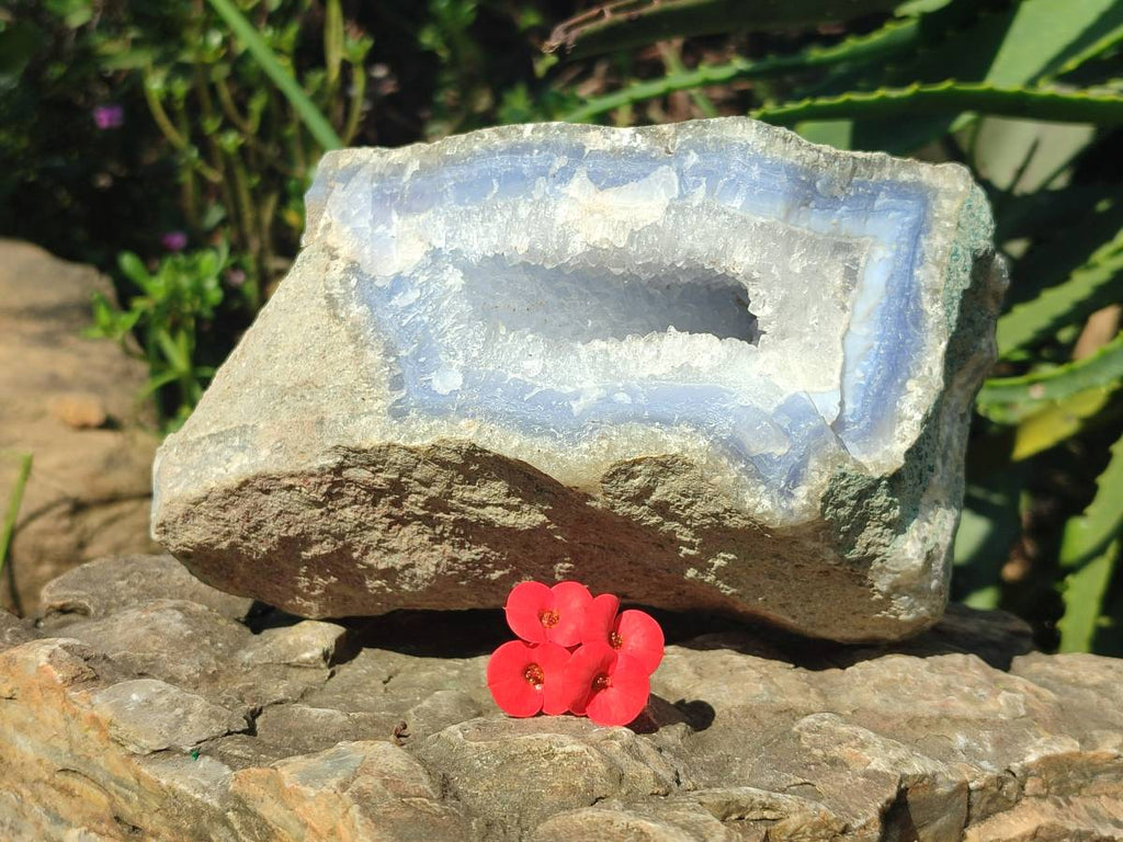 Natural Blue Lace Agate Geode Specimen x 1 From Nsanje, Malawi - Toprock Gemstones and Minerals 