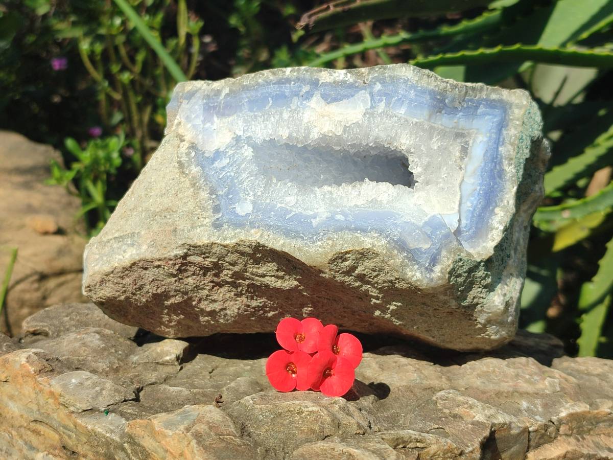 Natural Blue Lace Agate Geode Specimen x 1 From Nsanje, Malawi - Toprock Gemstones and Minerals 
