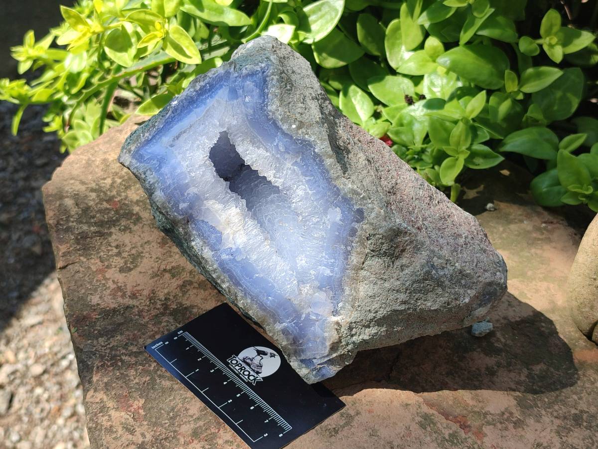 Natural Blue Lace Agate Geode Specimen x 1 From Nsanje, Malawi - Toprock Gemstones and Minerals 