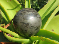 Polished Basalt Pharaoh Stone Spheres x 3 From Iron Duke Mine, Zimbabwe
