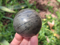 Polished Basalt Pharaoh Stone Spheres x 3 From Iron Duke Mine, Zimbabwe