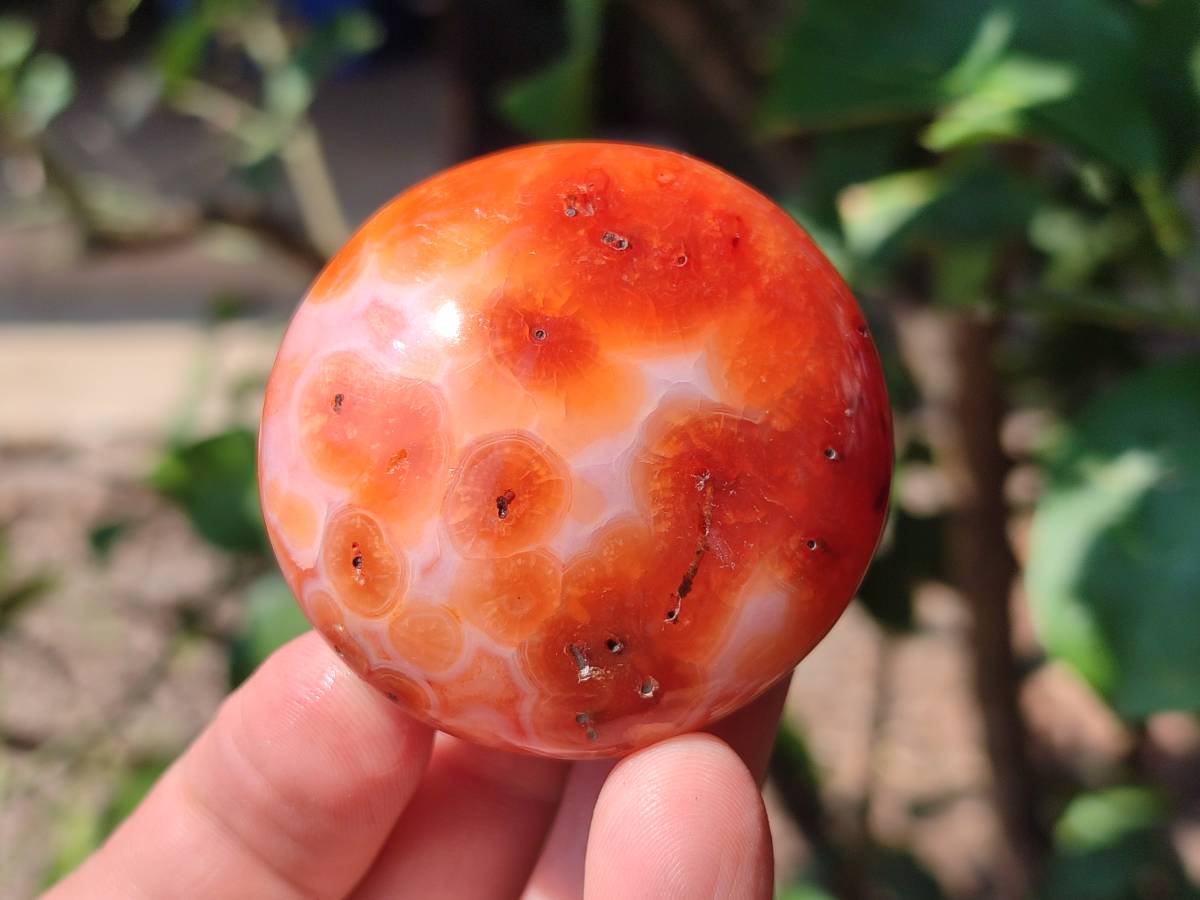 Polished Carnelian Agate Gemstone Galets x 20 From Madagascar - Toprock Gemstones and Minerals 