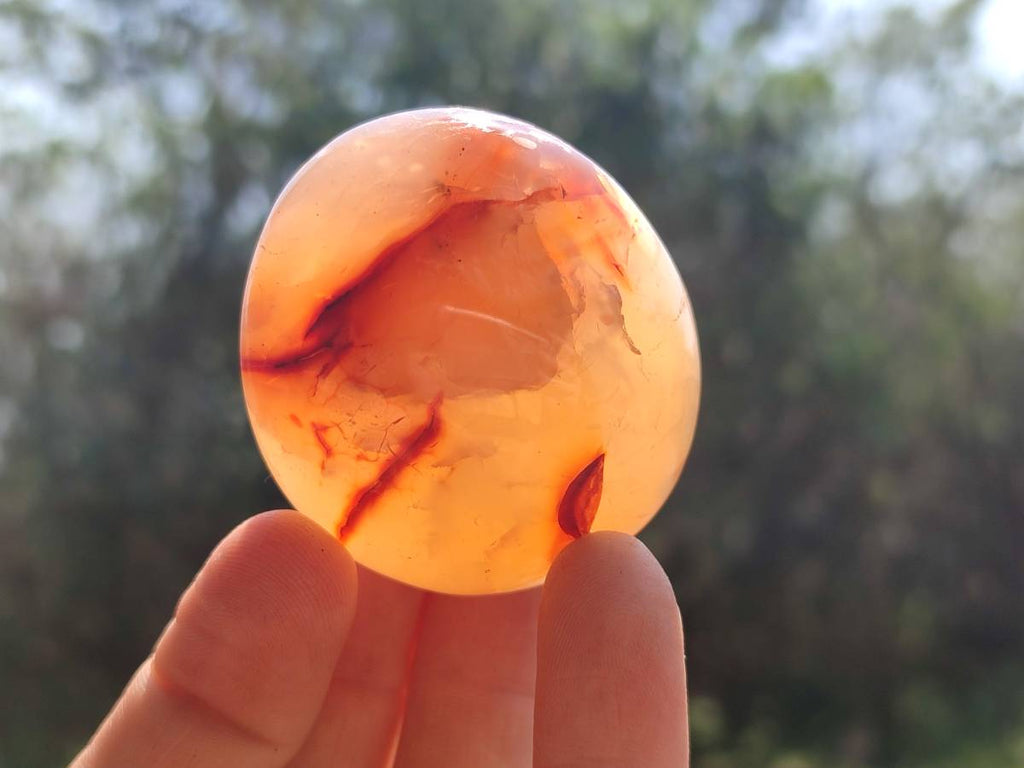 Polished Carnelian Agate Gemstone Galets x 20 From Madagascar - Toprock Gemstones and Minerals 