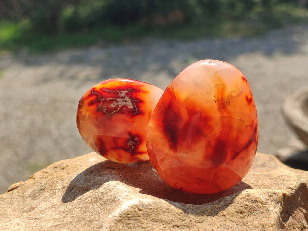 Polished Carnelian Agate Gemstone Galets x 20 From Madagascar - Toprock Gemstones and Minerals 