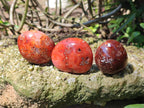 Polished Carnelian Agate Gemstone Galets x 20 From Madagascar - Toprock Gemstones and Minerals 