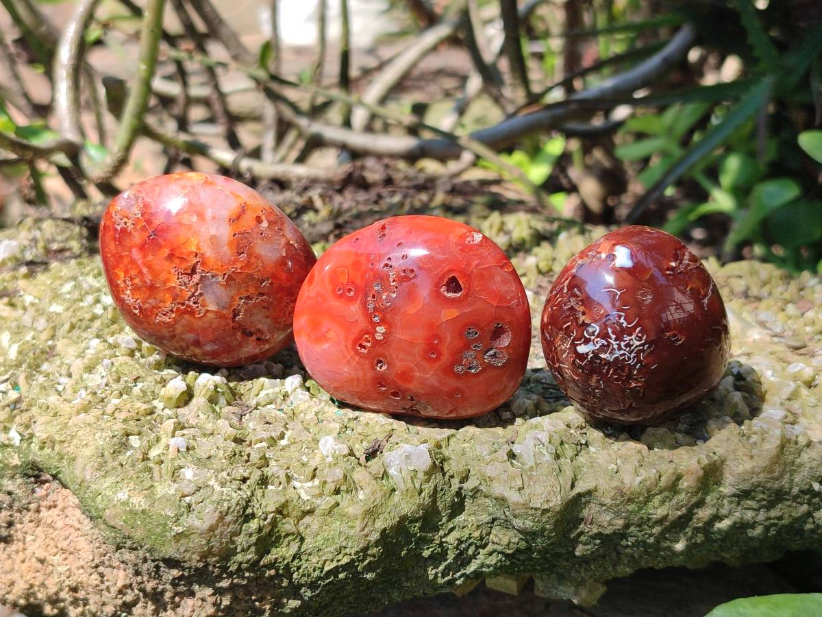 Polished Carnelian Agate Gemstone Galets x 20 From Madagascar - Toprock Gemstones and Minerals 